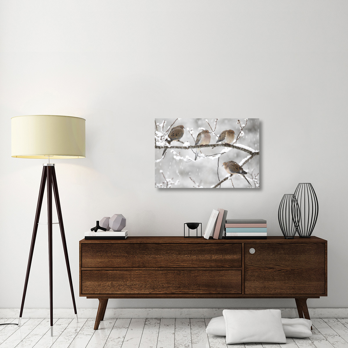 Mourning Dove group in winter, Nova Scotia, Canada-Canvas Art-36&quotx24"