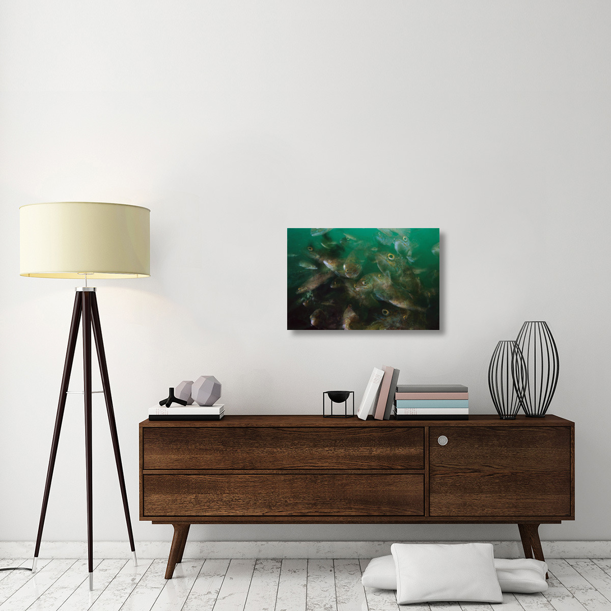 Cunner fish, multiexposed 16x, Nova Scotia, Canada-Canvas Art-30&quotx20"