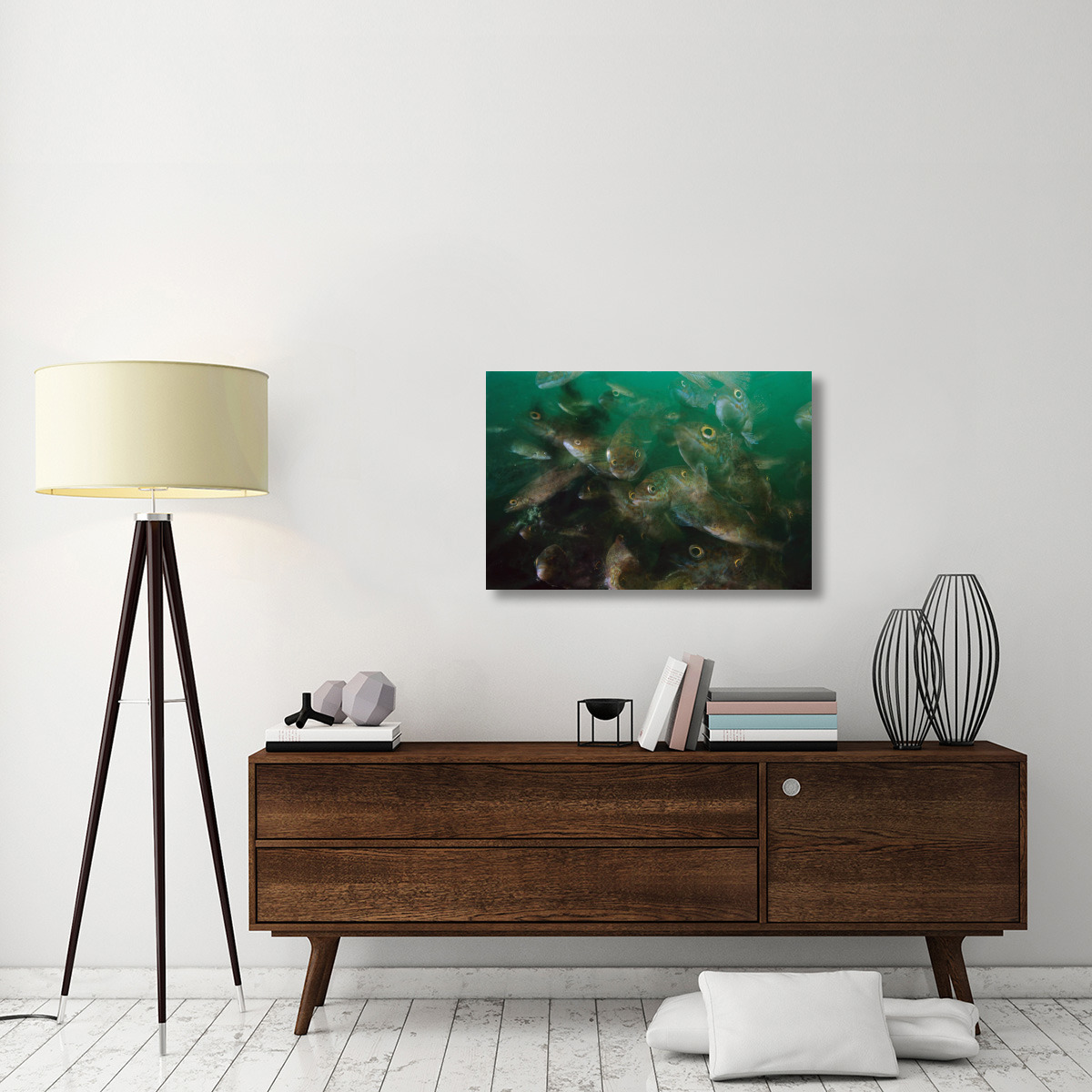 Cunner fish, multiexposed 16x, Nova Scotia, Canada-Canvas Art-36&quotx24"
