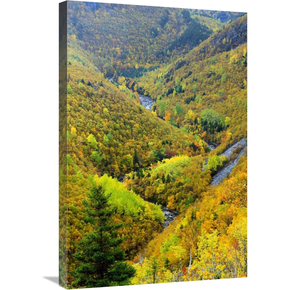 MacKenzie River valley, Cape Breton Highlands National Park, Nova Scotia, Canada-Canvas Art-20&quotx30"
