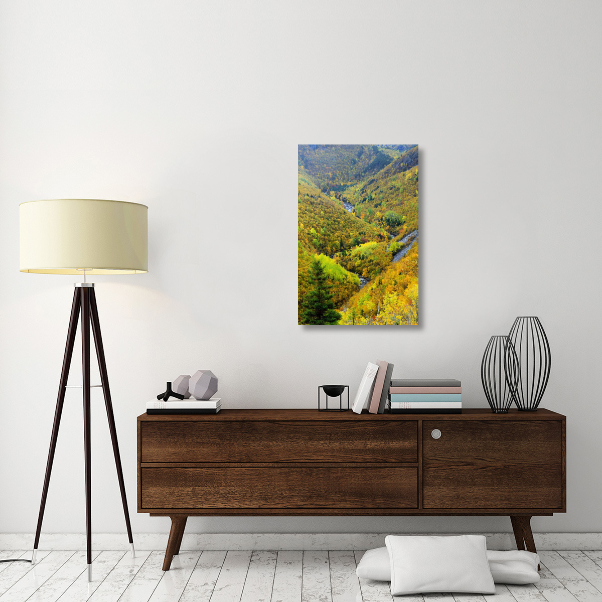 MacKenzie River valley, Cape Breton Highlands National Park, Nova Scotia, Canada-Canvas Art-24&quotx36"