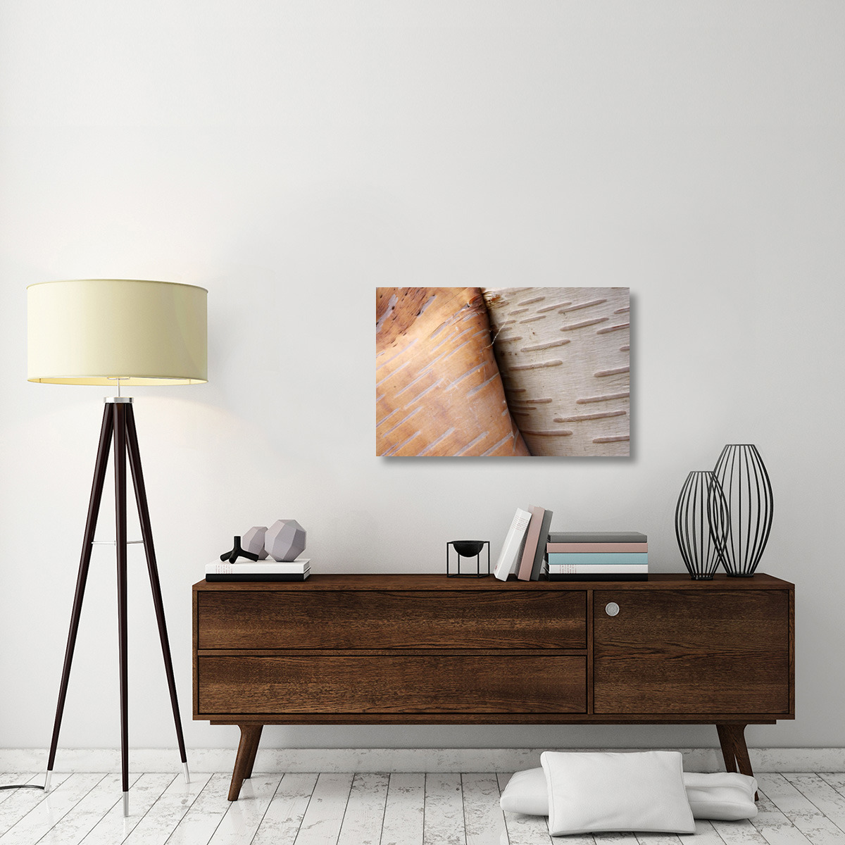 Paper Birch bark peeling, Cape Breton Highlands National Park, Nova Scotia, Canada-Canvas Art-36&quotx24"