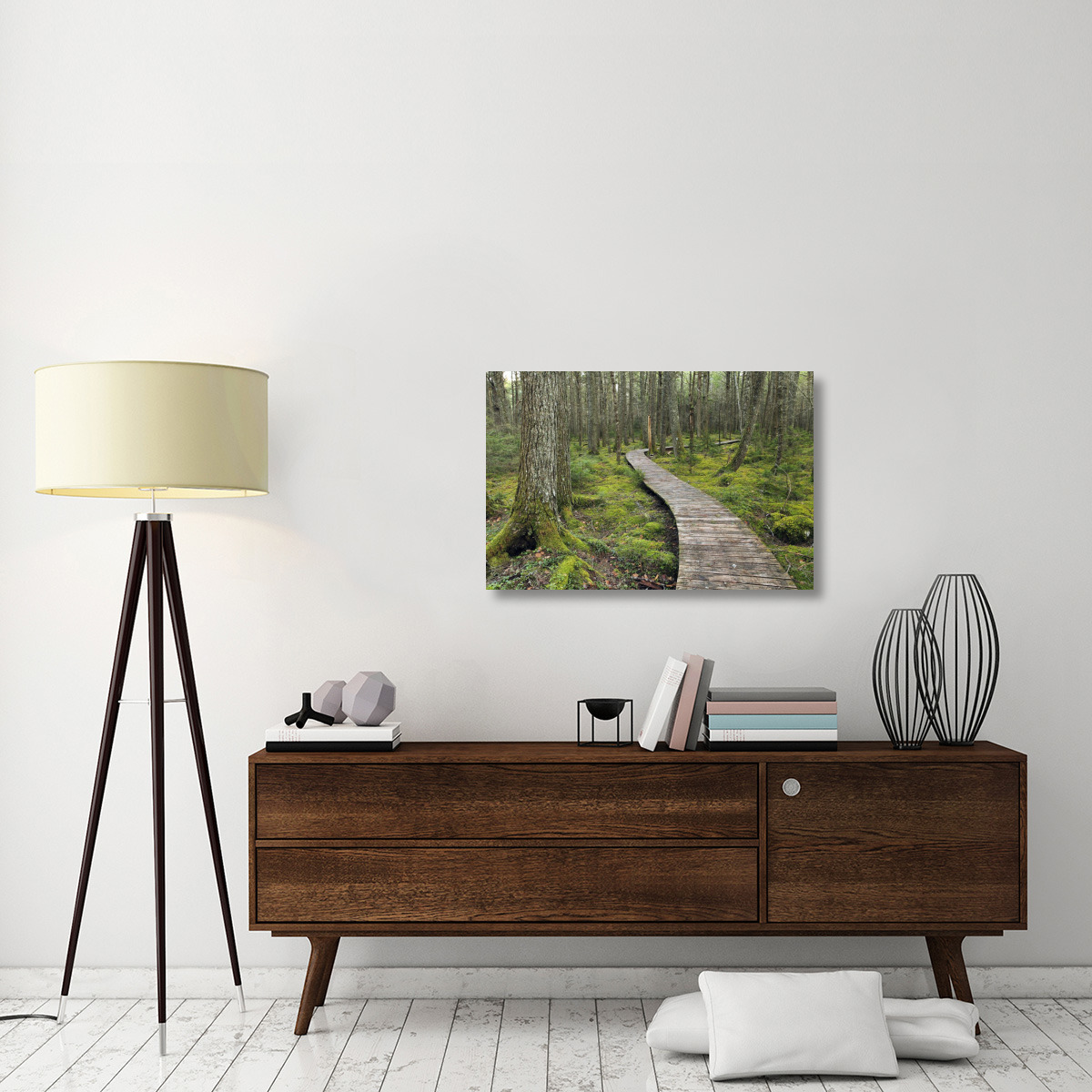 Canadian Hemlock grove with boardwalk, Kejimkujik National Park, Nova Scotia, Canada-Canvas Art-36&quotx24"