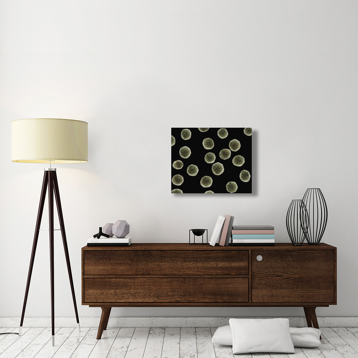 Pollen grains of a Pellitory at 1050x magnification-Canvas Art-28&quotx22"