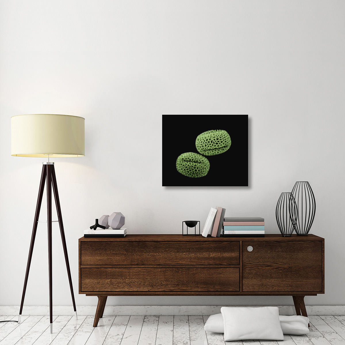Olive (Olea europaea) pollen at 1400x magnification-Canvas Art-30&quotx24.9"