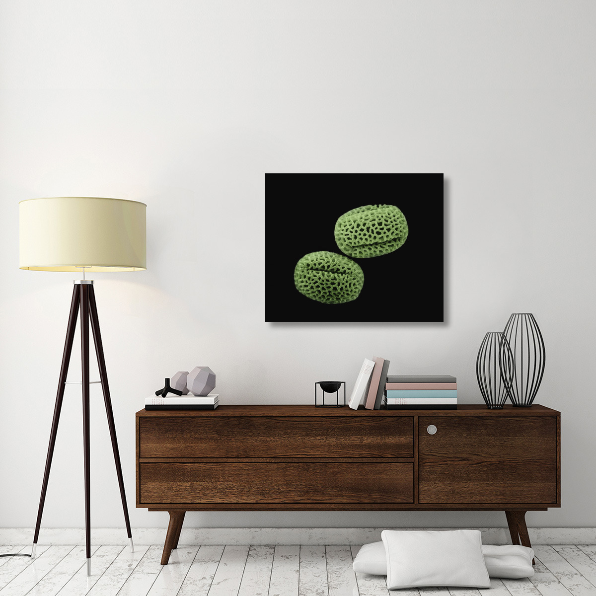 Olive (Olea europaea) pollen at 1400x magnification-Canvas Art-36&quotx29.88"