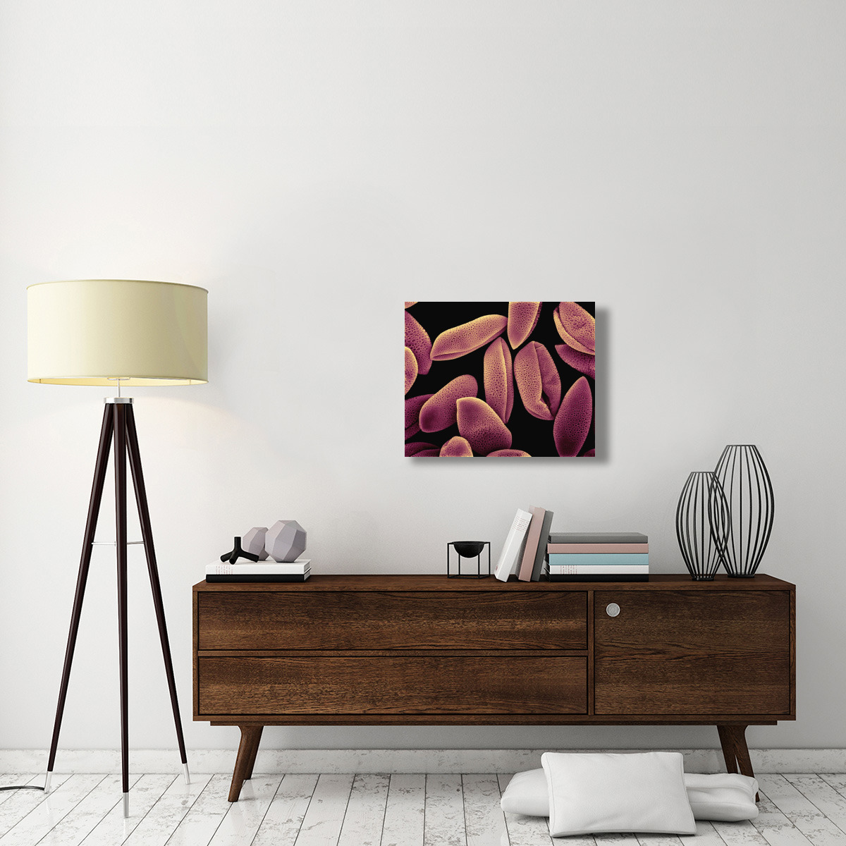 Common Hyacinth (Hyacinthus orientalis) pollen at 700x magnification-Canvas Art-28&quotx22"