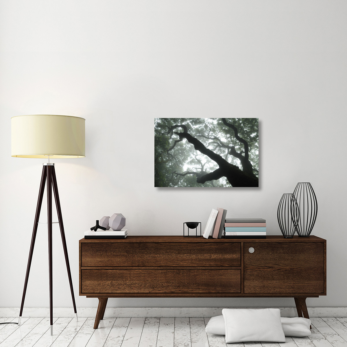 Macaronesian Laurel relict forest, Tenerife, Canary Islands, Spain-Canvas Art-36&quotx24"