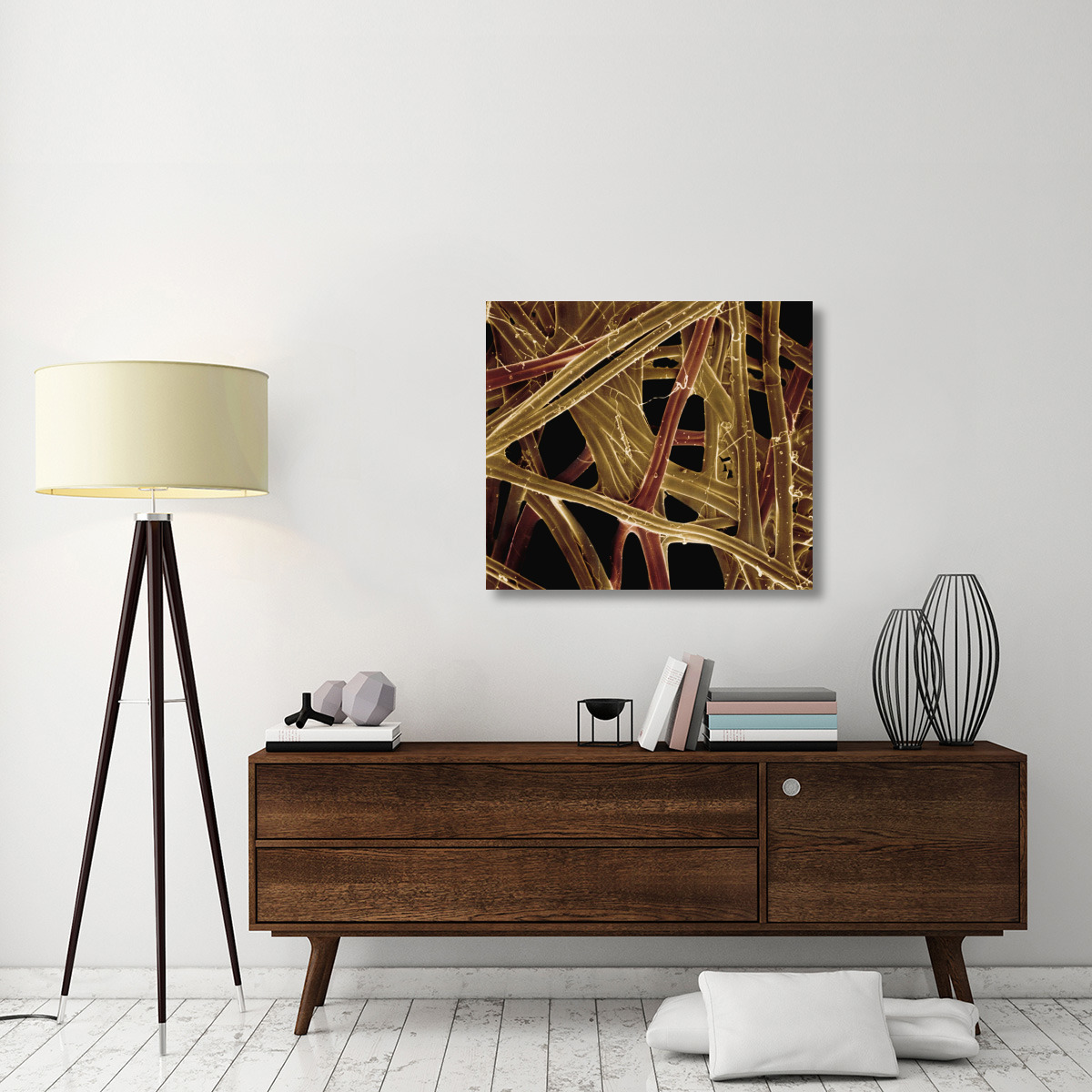 Spanish Moon Moth (Graellsia isabellae) cocoon silk fibers at 105x magnification-Canvas Art-36&quotx31.68"
