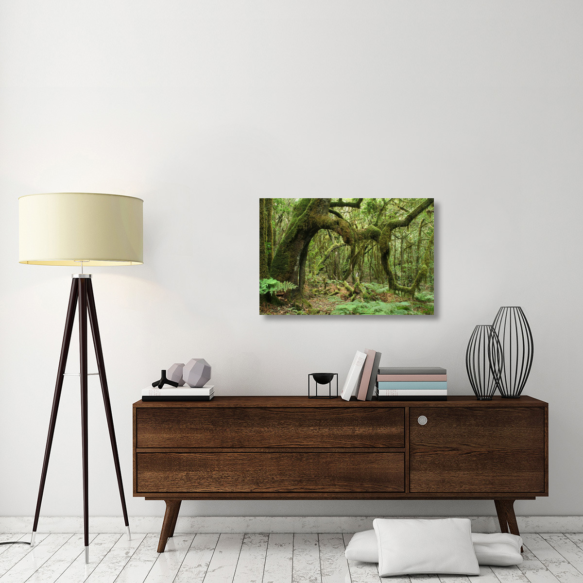 Macaronesian Laurel relict forest in Garajonay National Park, Canary Islands, Spain-Canvas Art-36&quotx24"