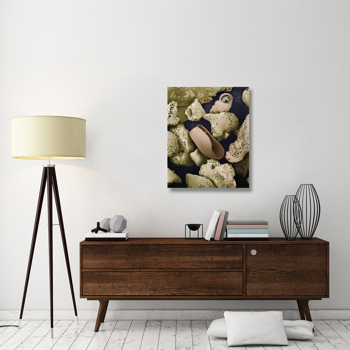 Foraminiferans, molluscs and other bryozoans found on beach in Formentera, Balearic Islands, Spain-Canvas Art-28&quotx35"