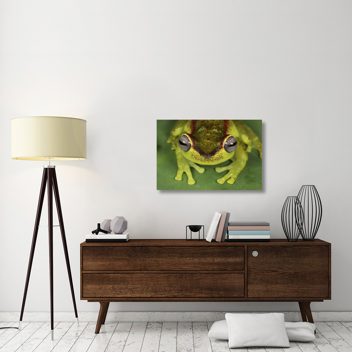 Treefrog at night, Colombia-Canvas Art-36&quotx24"
