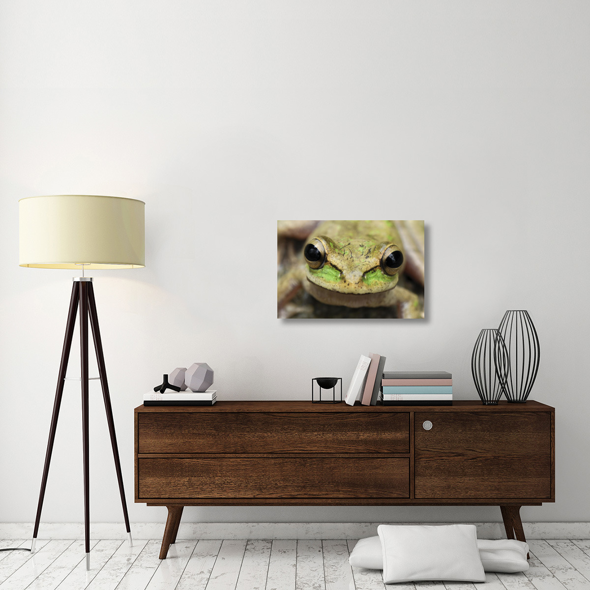 Tarraco Treefrog portrait, Colombia. Sequence 2 of 2-Canvas Art-30&quotx20"