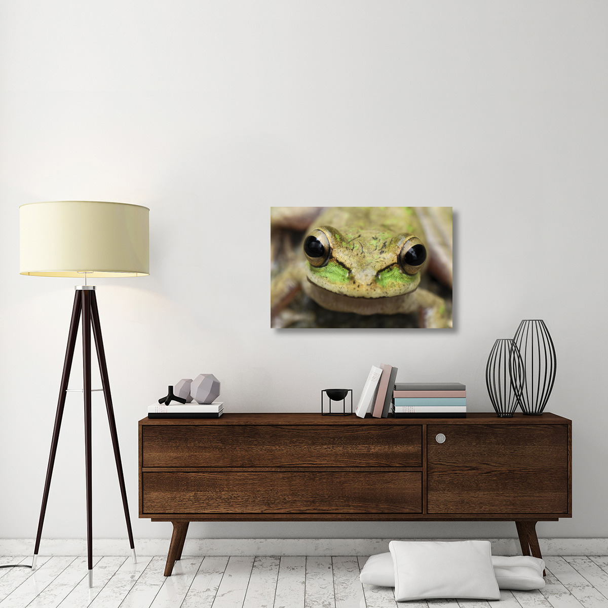Tarraco Treefrog portrait, Colombia. Sequence 2 of 2-Canvas Art-36&quotx24"