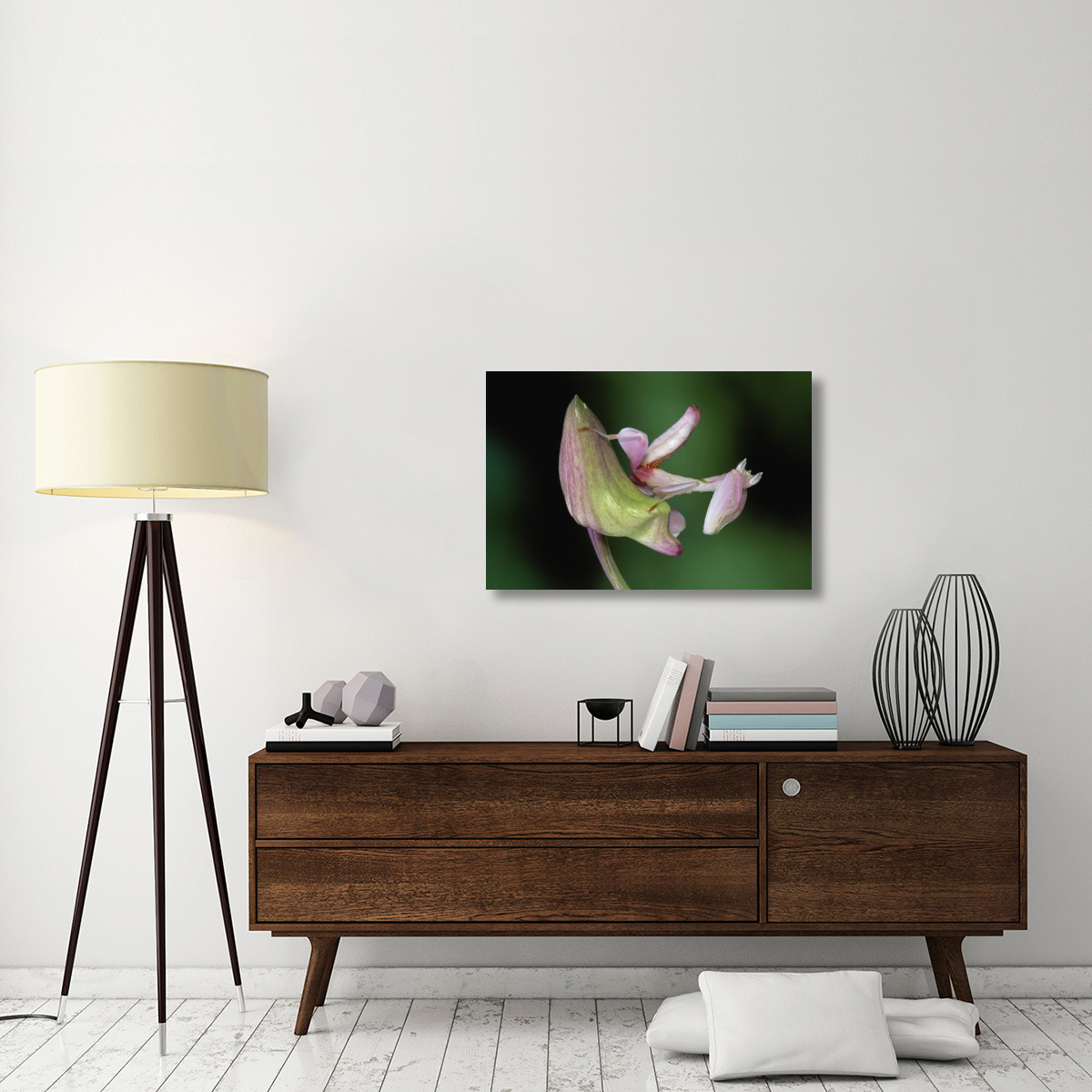 Orchid Mantis camouflaged on flower, Borneo, Malaysia-Canvas Art-36&quotx24"