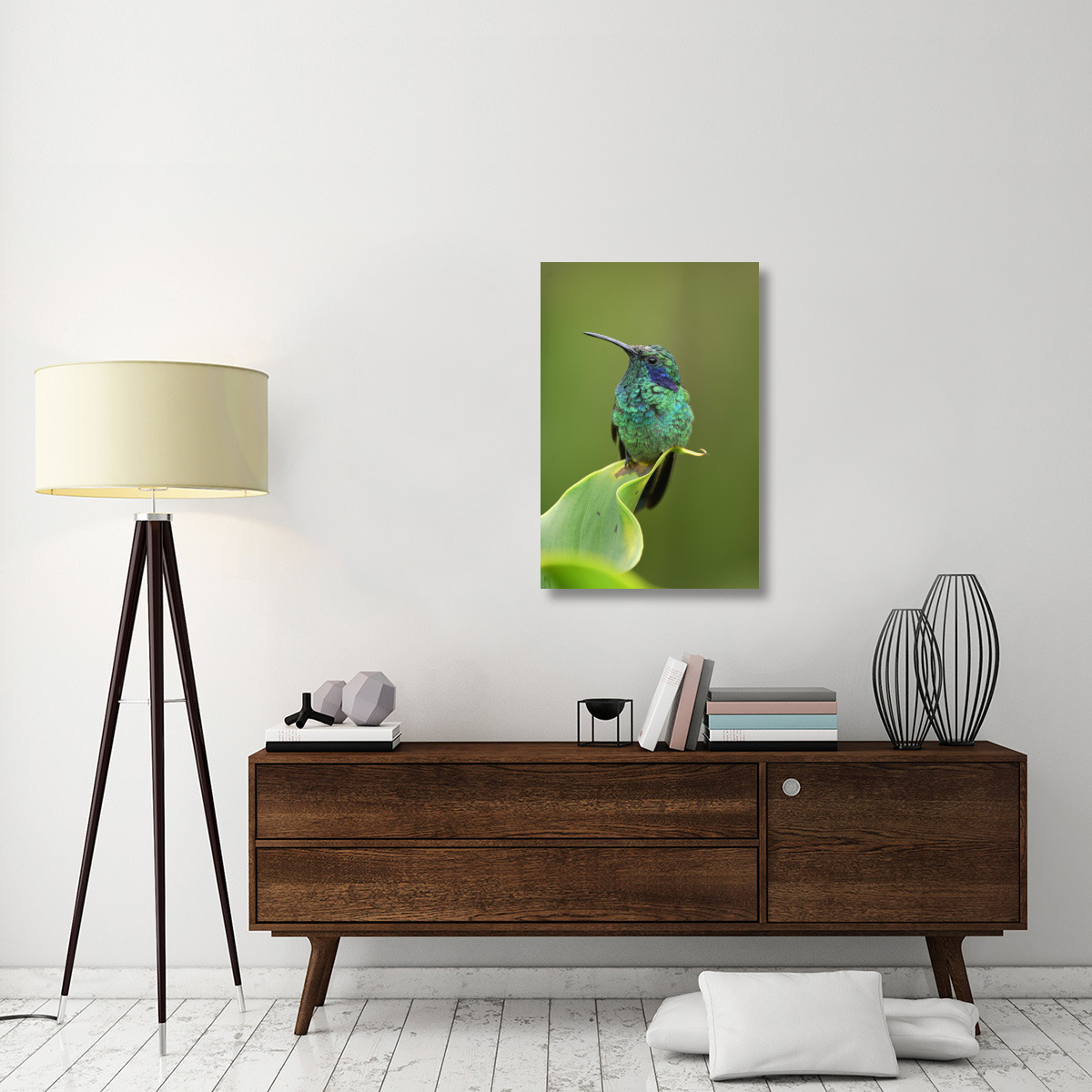 Green Violet-ear hummingbird perched on leaf, Costa Rica-Canvas Art-24&quotx36"