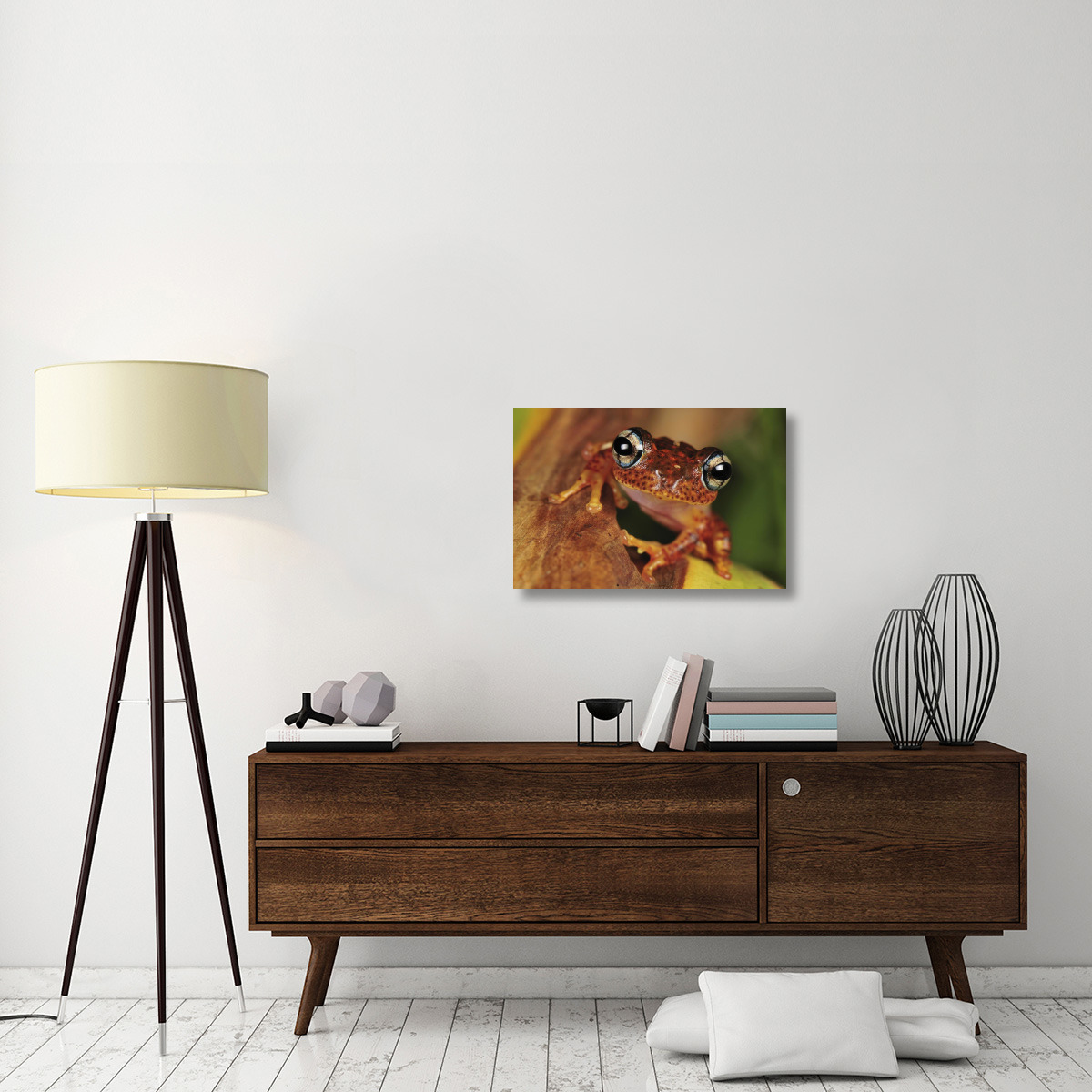 Tree Frog portrait, Andasibe-Mantadia National Park, Madagascar-Canvas Art-30&quotx20"