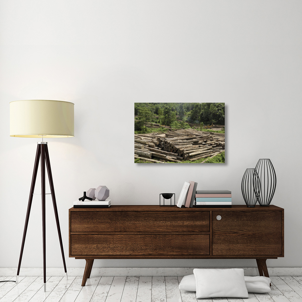 Logs in logging area, Danum Valley Conservation Area, Borneo, Malaysia-Canvas Art-36&quotx24"