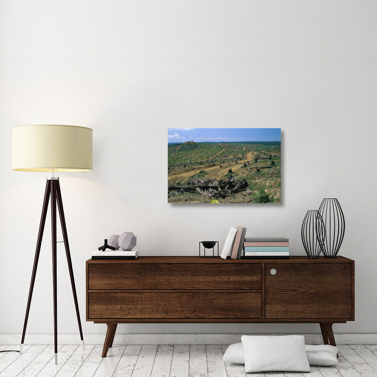 Rainforest deforestation for oil palm plantation, Sabah, Borneo, Malaysia-Canvas Art-36&quotx24"