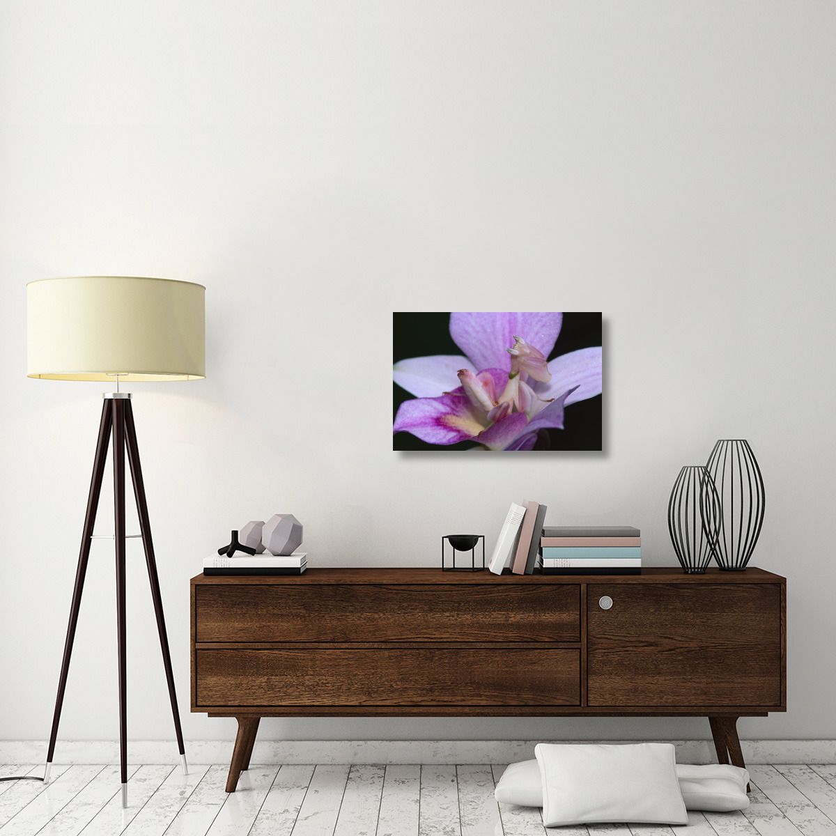 Orchid Mantis female mimicking a pink flower, Cameron highlands near Tapah in West Malaysia-Canvas Art-30&quotx20"