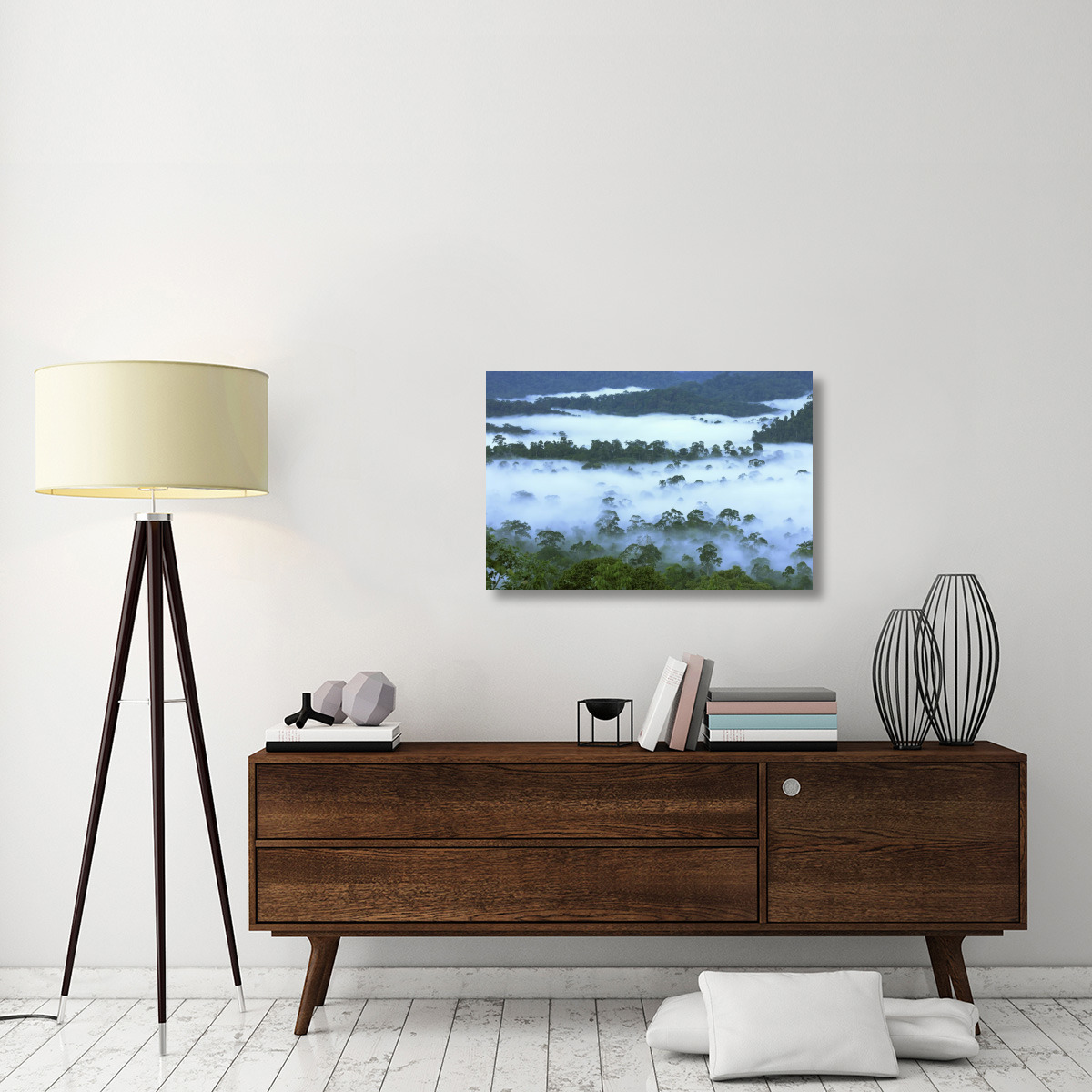 Canopy of lowland rainforest at dawn with fog, Danum Valley Conservation Area, Borneo, Malaysia-Canvas Art-36&quotx24"