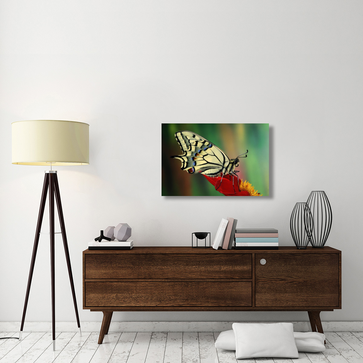 Oldworld Swallowtail side view, Europe-Canvas Art-36&quotx24"