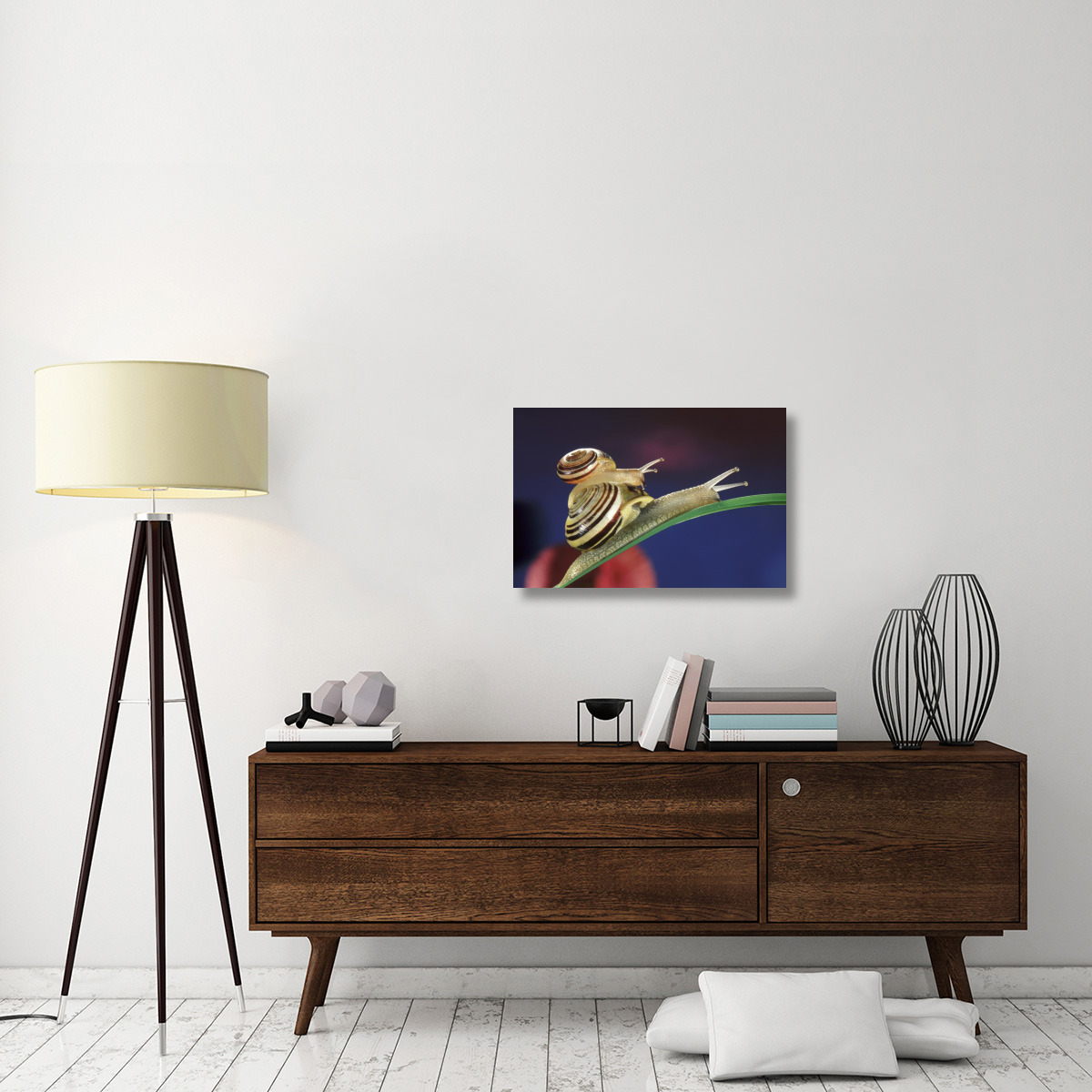Brown Lipped Snail small snail riding on the shell of a larger snail, western Europe-Canvas Art-30&quotx20"
