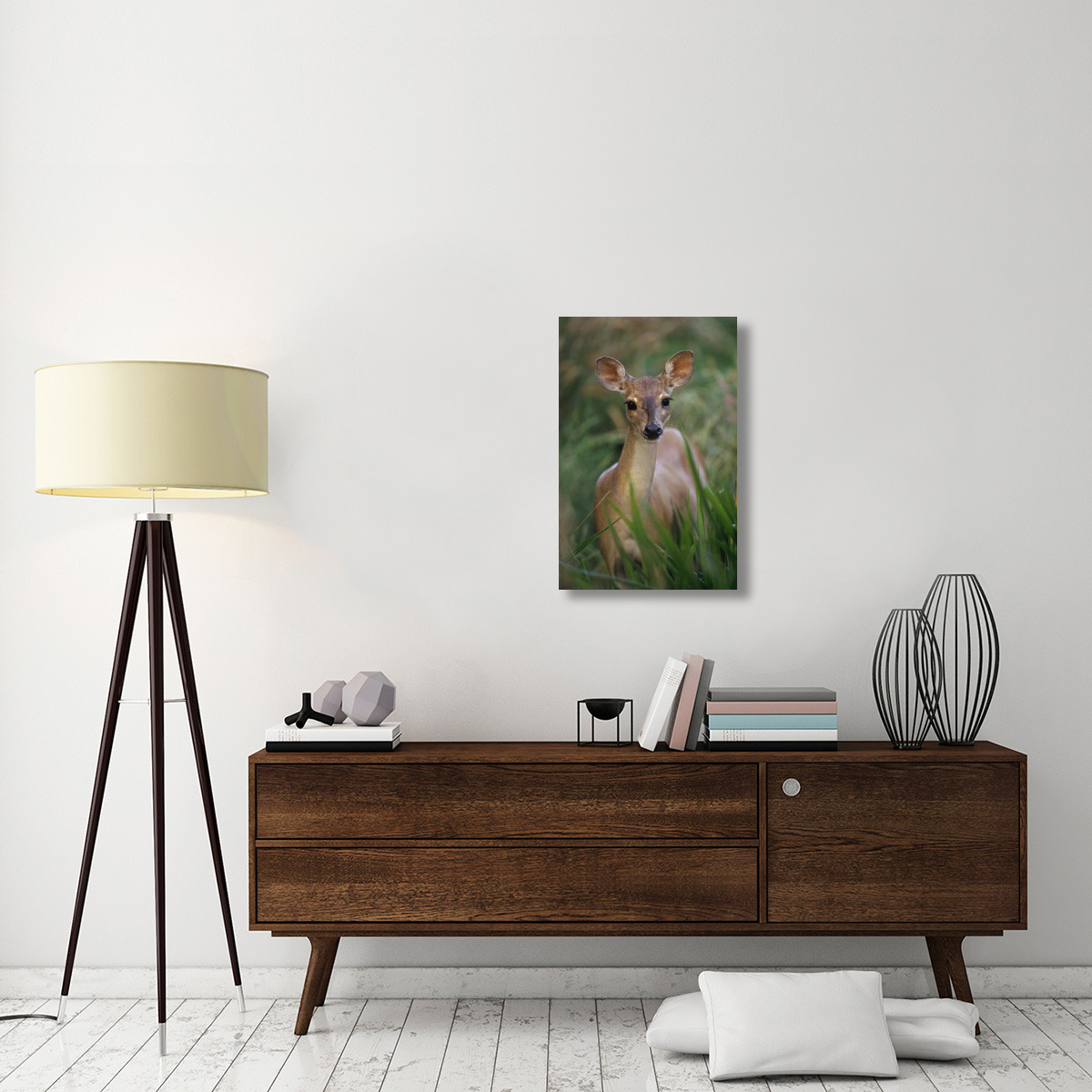 Marsh or Swamp Deer portrait, Pantanal ecosystem, Brazil-Canvas Art-20&quotx30"