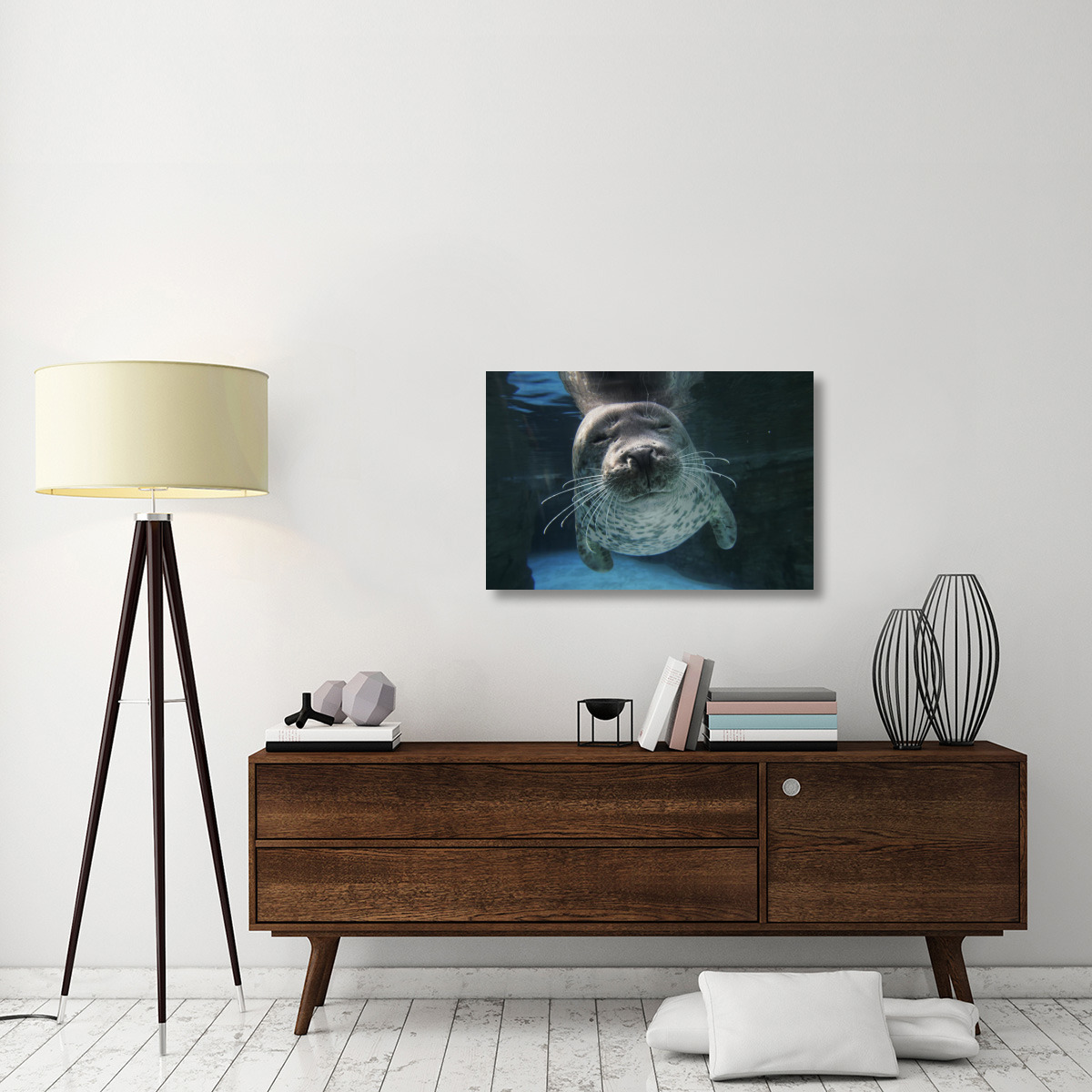Spotted Seal, Japan-Canvas Art-36&quotx24"