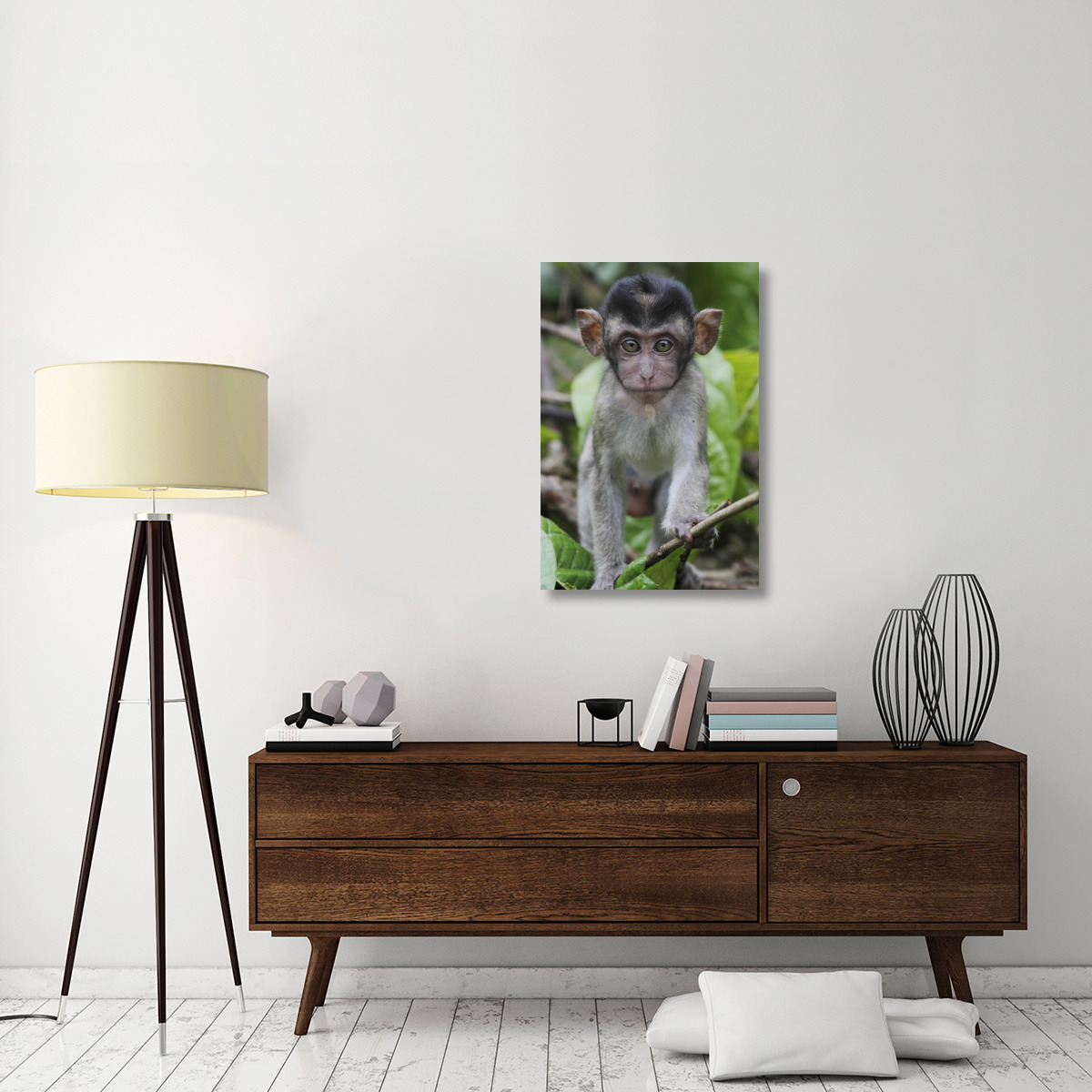 Long-tailed Macaque baby, Saba, Malaysia-Canvas Art-24&quotx36"