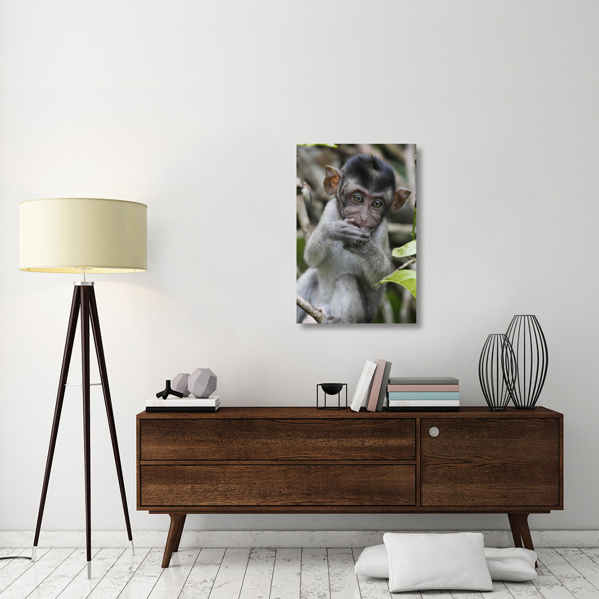 Long-tailed Macaque baby, Saba, Malaysia-Canvas Art-24&quotx36"