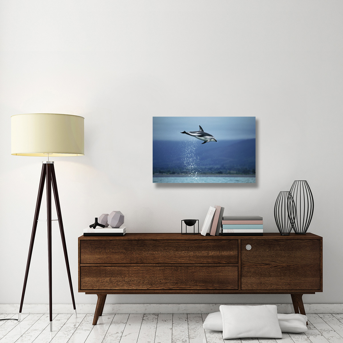 Dusky Dolphin leaping out of water, New Zealand-Canvas Art-36&quotx24"