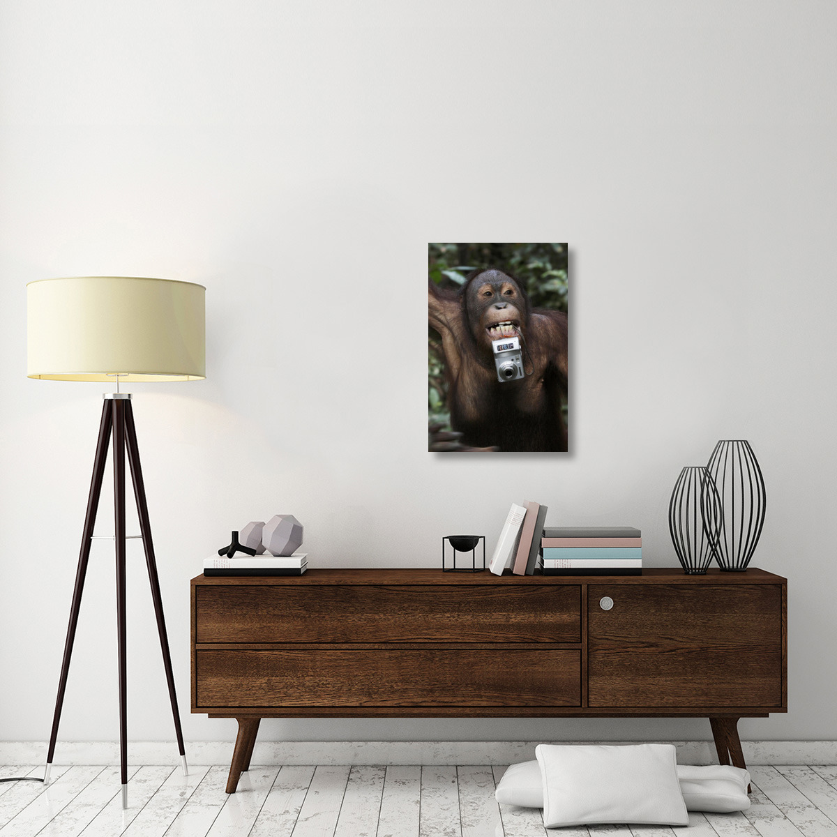 Orangutan with tourist&quots camera, Malaysia, Saba, Borneo-Canvas Art-20&quotx30"