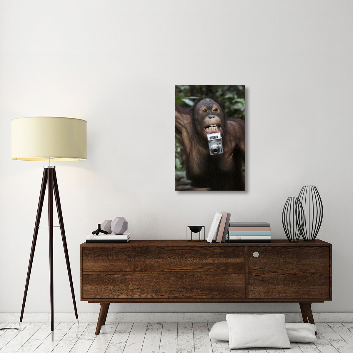 Orangutan with tourist&quots camera, Malaysia, Saba, Borneo-Canvas Art-24&quotx36"