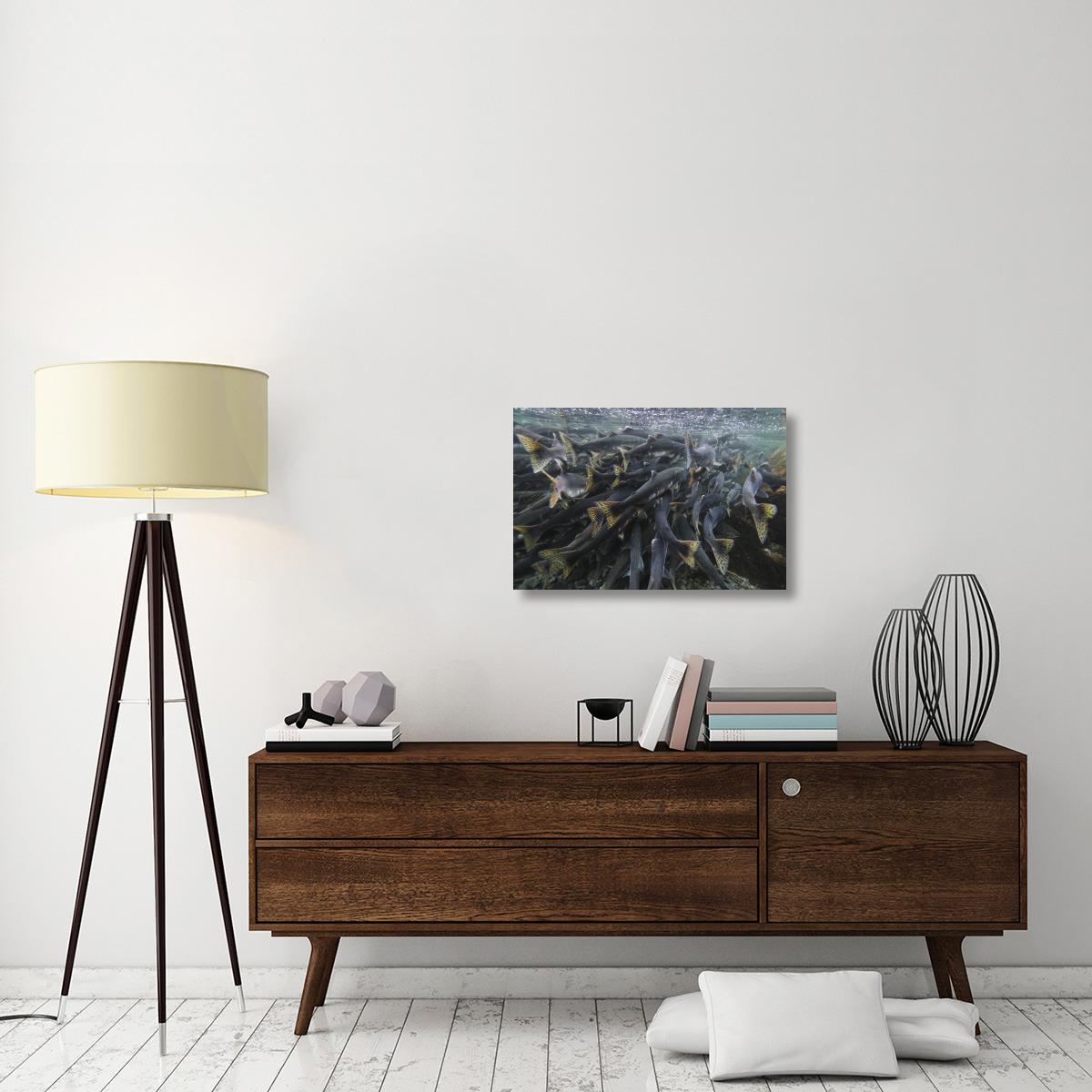 Pink Salmon spawning mass, Prince William Sound, Alaska-Canvas Art-30&quotx20"