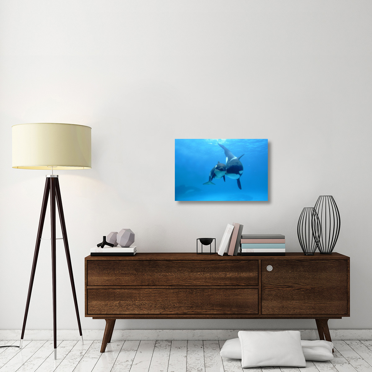 Orca mother and newborn baby, Sea World, Kamogawa, Japan-Canvas Art-30&quotx20"