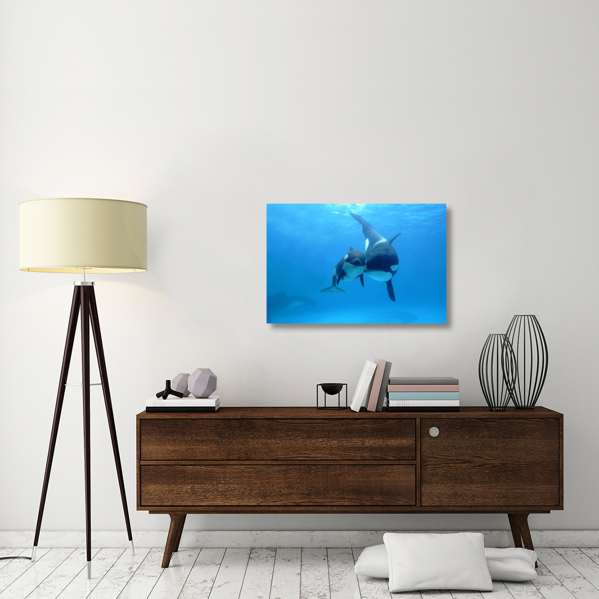 Orca mother and newborn baby, Sea World, Kamogawa, Japan-Canvas Art-36&quotx24"