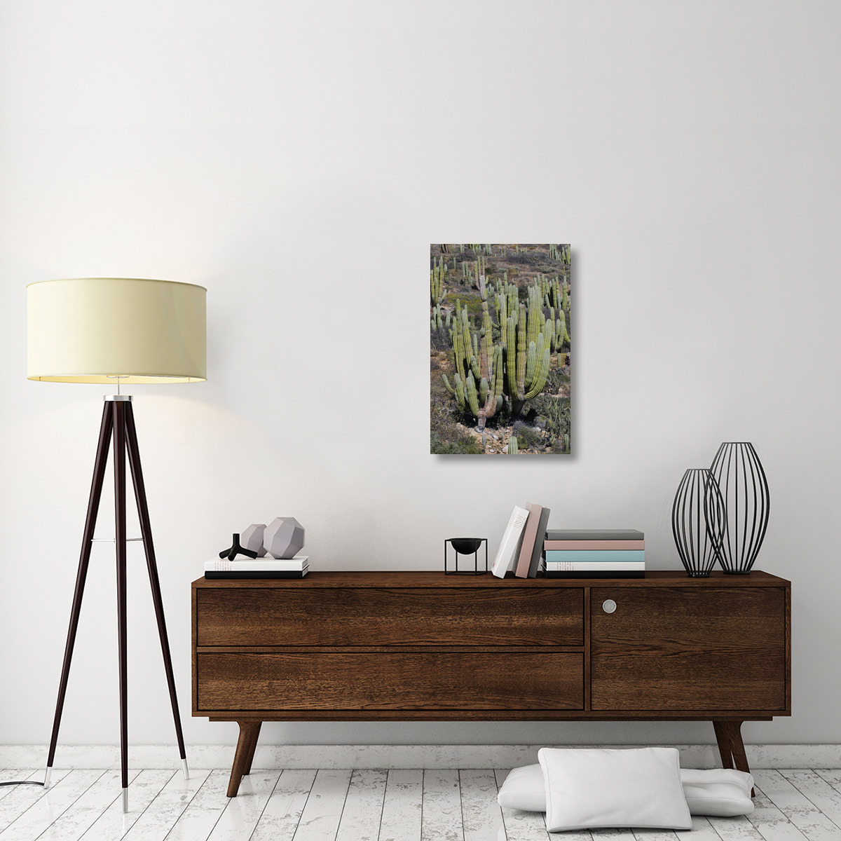 Cardon cacti, Santa Catalina Island, Sea of Cortez, Mexico-Canvas Art-20&quotx30"