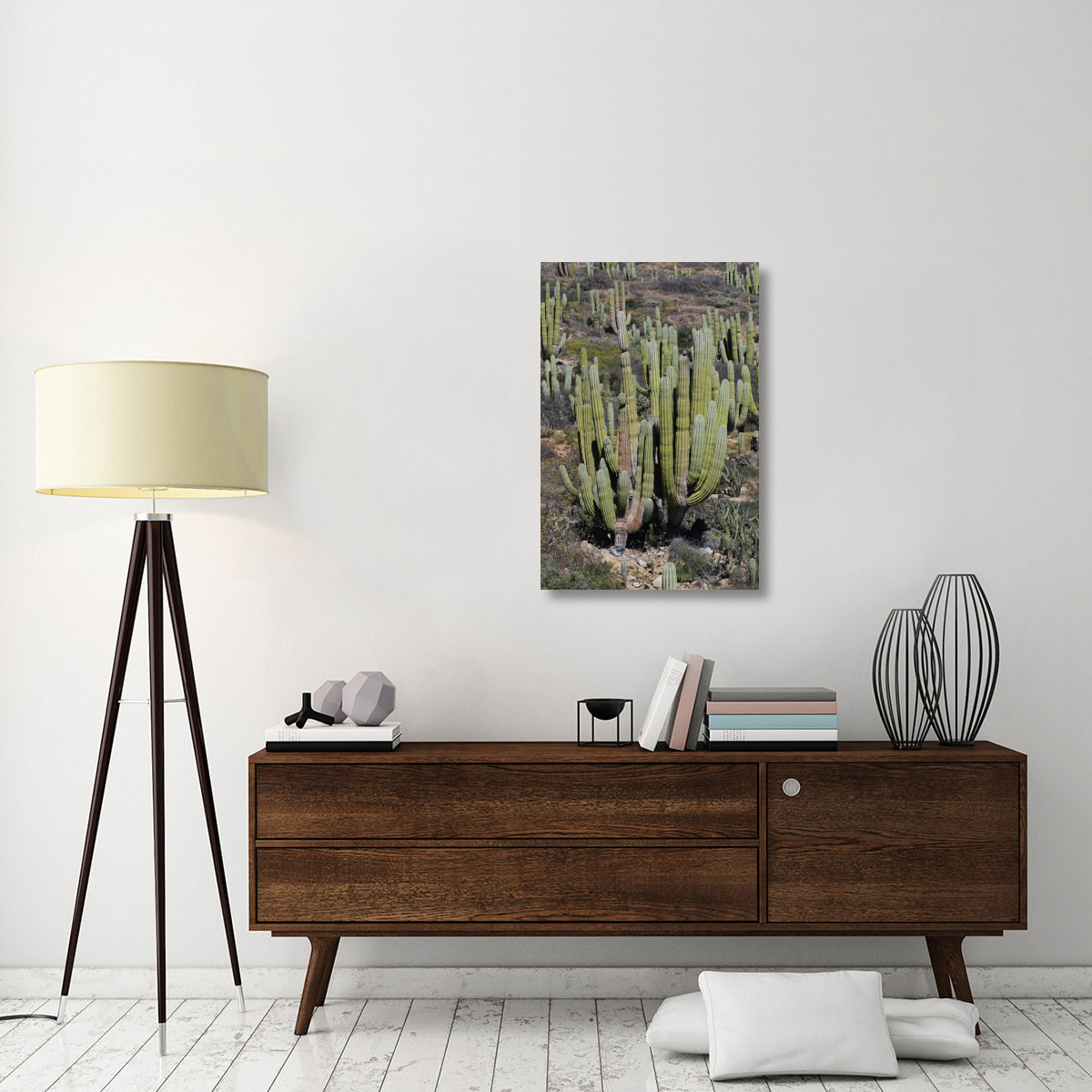 Cardon cacti, Santa Catalina Island, Sea of Cortez, Mexico-Canvas Art-24&quotx36"