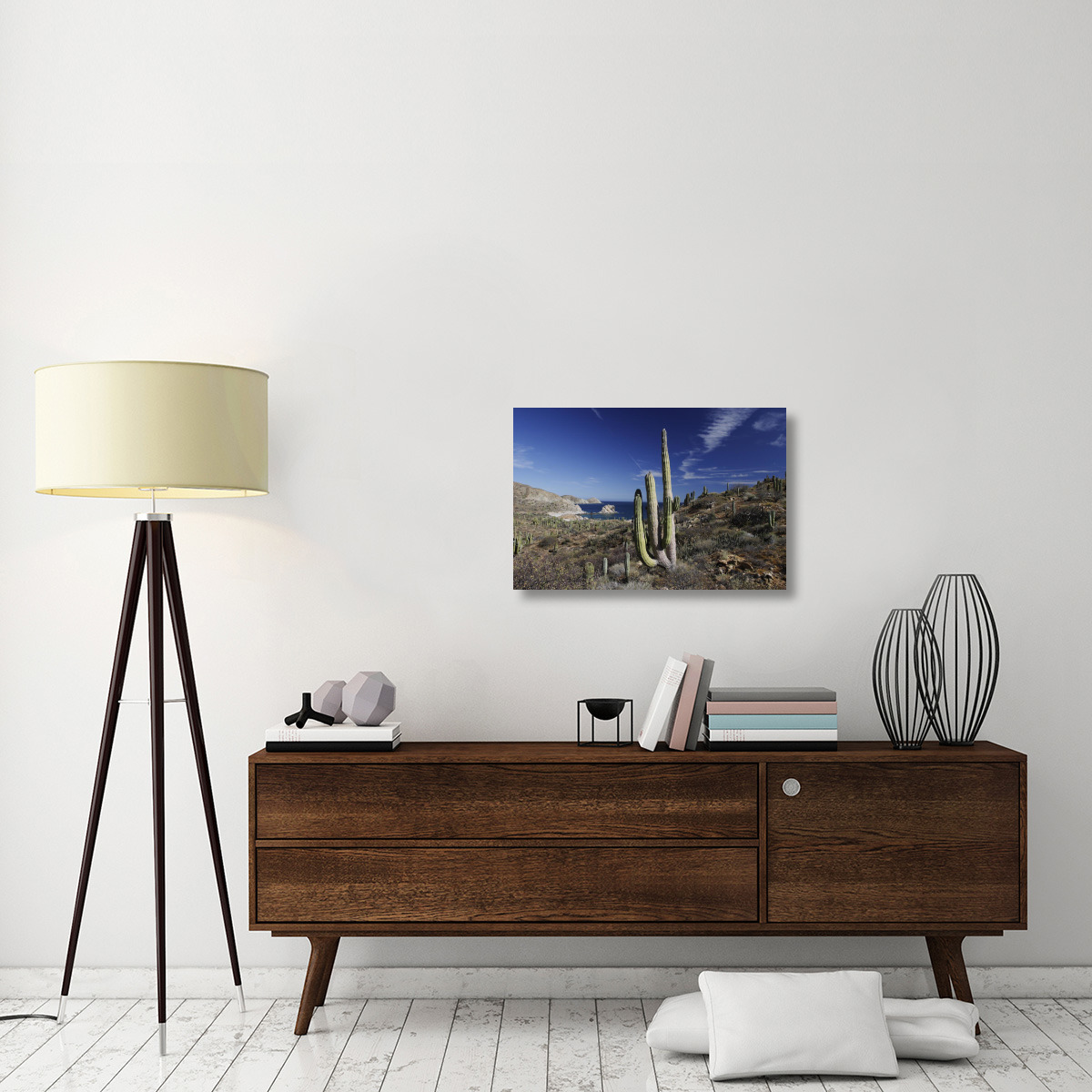 Cardon cactus, Santa Catalina Island, Sea of Cortez, Mexico-Canvas Art-30&quotx20"