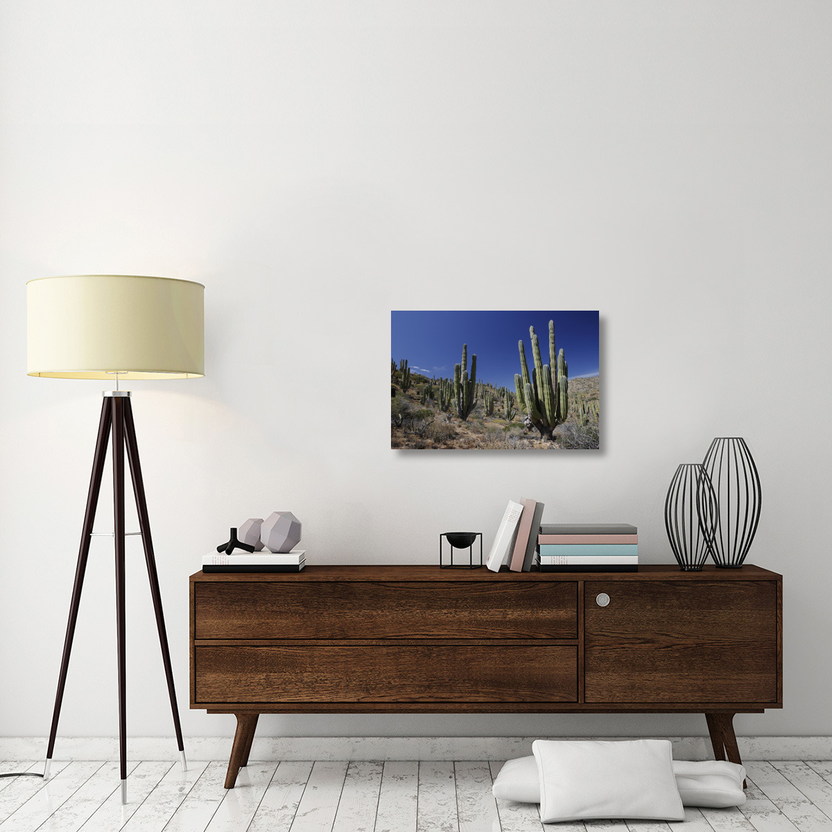 Cardon cacti in desert landscape, Santa Catalina Island, Mexico-Canvas Art-30&quotx20"