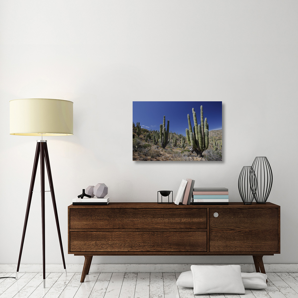 Cardon cacti in desert landscape, Santa Catalina Island, Mexico-Canvas Art-36&quotx24"