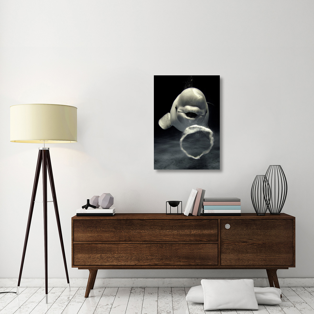 Beluga whale blowing toroidal bubble ring, Shimane Aquarium, Japan-Canvas Art-25.2&quotx36"