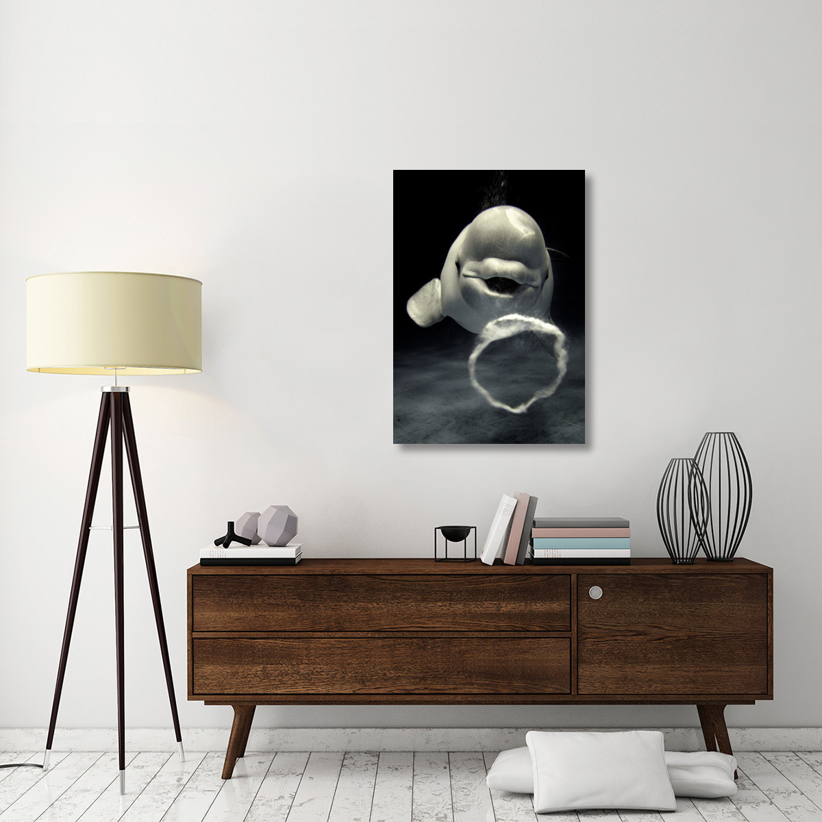 Beluga whale blowing toroidal bubble ring, Shimane Aquarium, Japan-Canvas Art-28&quotx40"