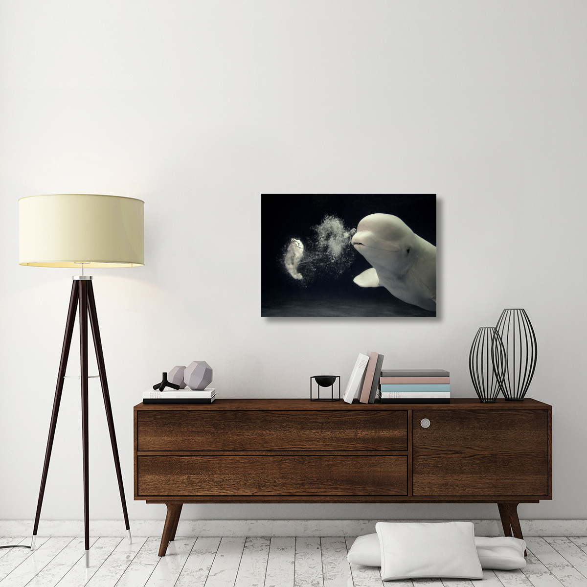 Beluga whale blowing toroidal bubble ring, Shimane Aquarium, Japan-Canvas Art-36&quotx25.2"