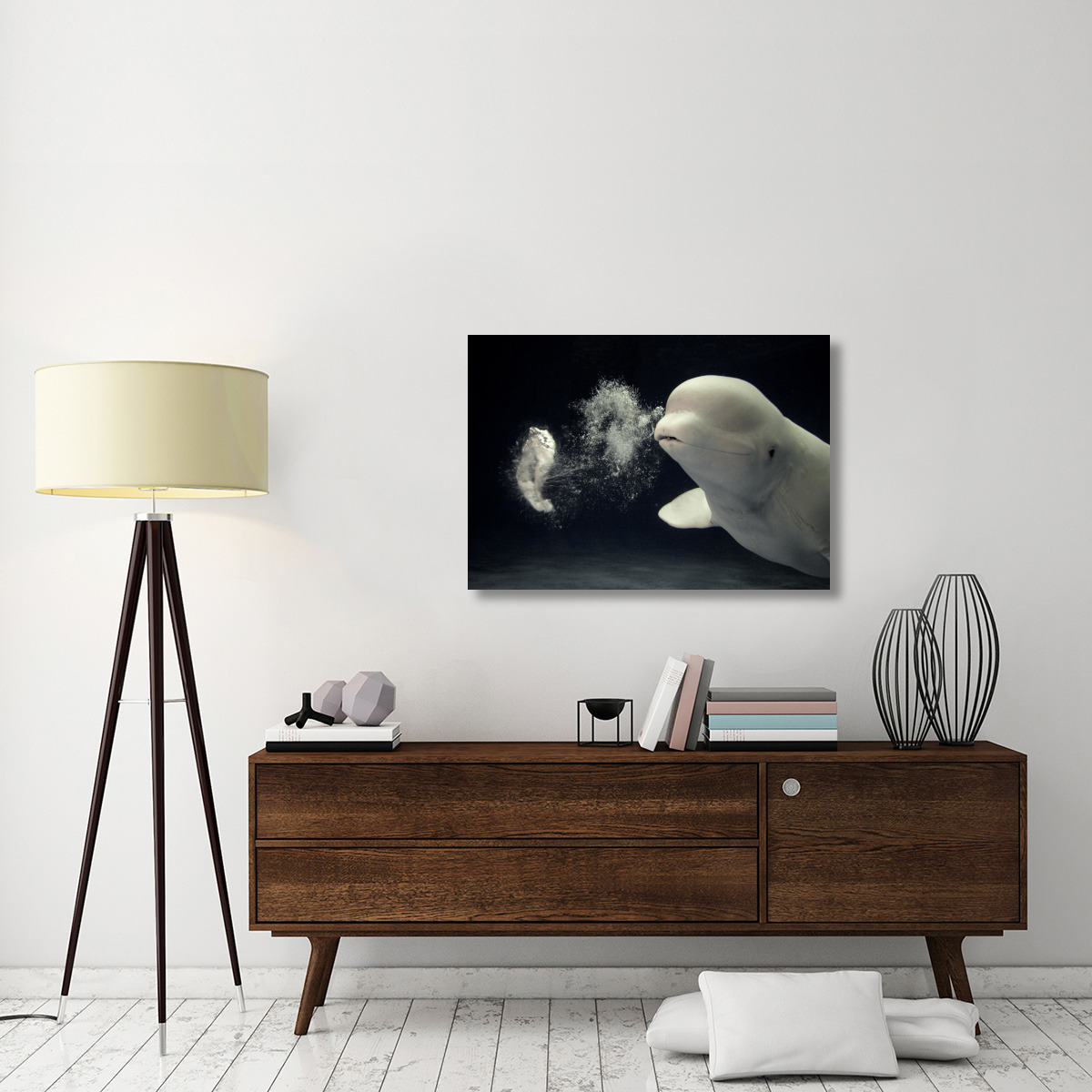 Beluga whale blowing toroidal bubble ring, Shimane Aquarium, Japan-Canvas Art-40&quotx28"