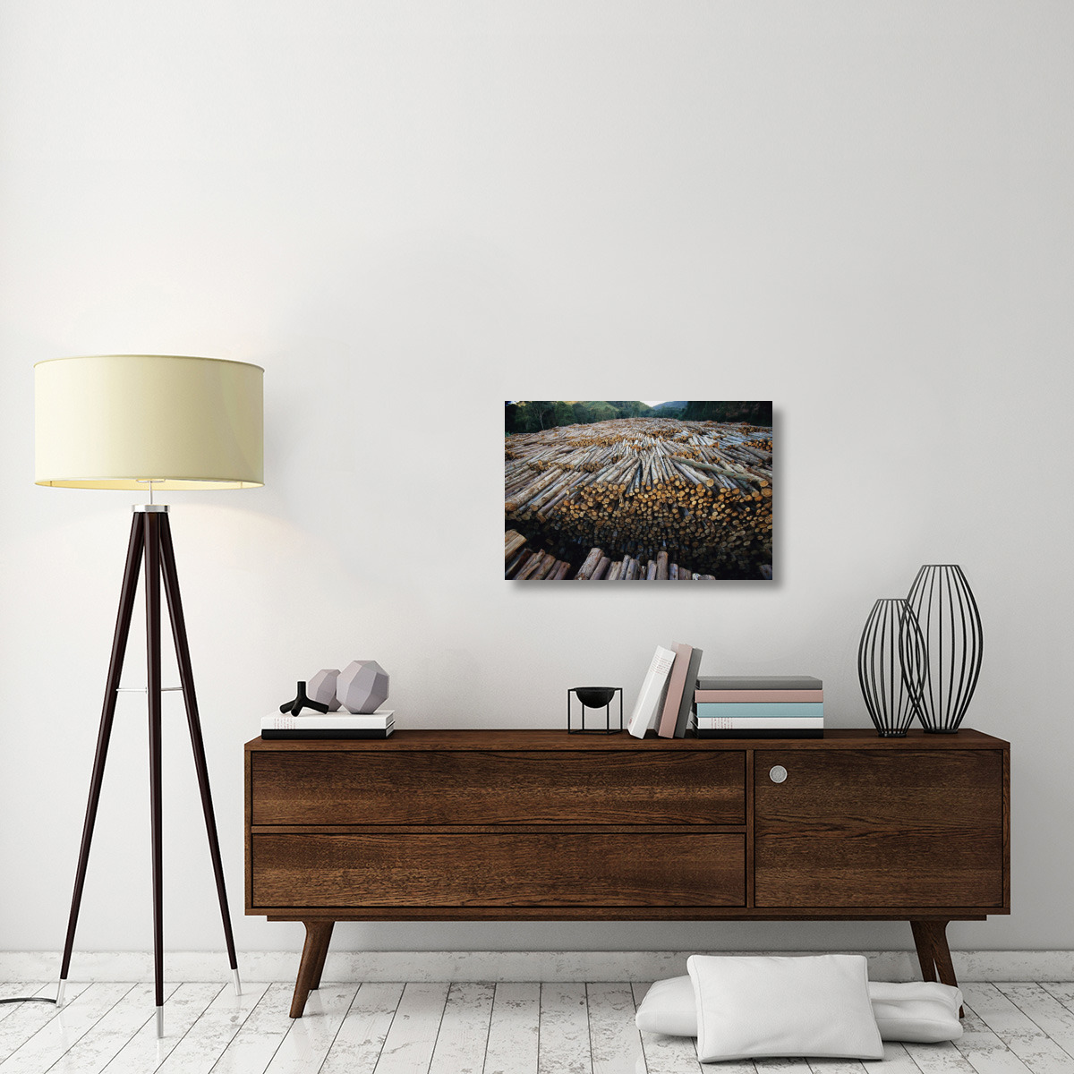 Gum Tree lumber, the world&quots biggest source of Eucalyptus pulp for paper, Atlantic forest, Brazil-Canvas Art-30&quotx20"