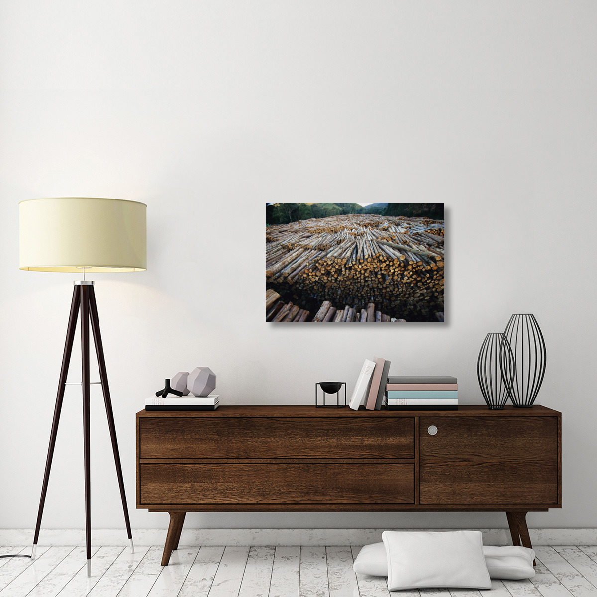 Gum Tree lumber, the world&quots biggest source of Eucalyptus pulp for paper, Atlantic forest, Brazil-Canvas Art-36&quotx24"