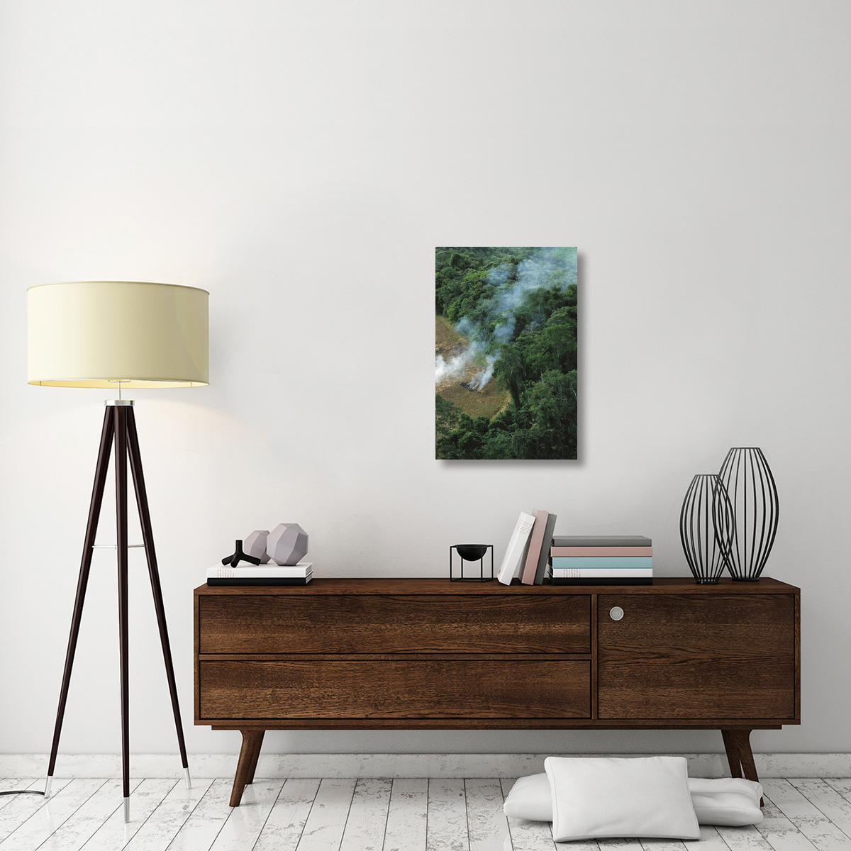 A farmer burns his agricultural field after harvesting the crop in a clearcut area in the forest, Usina Serra Grande, Atlantic Forest, Brazil-Canvas Art-20&quotx30"