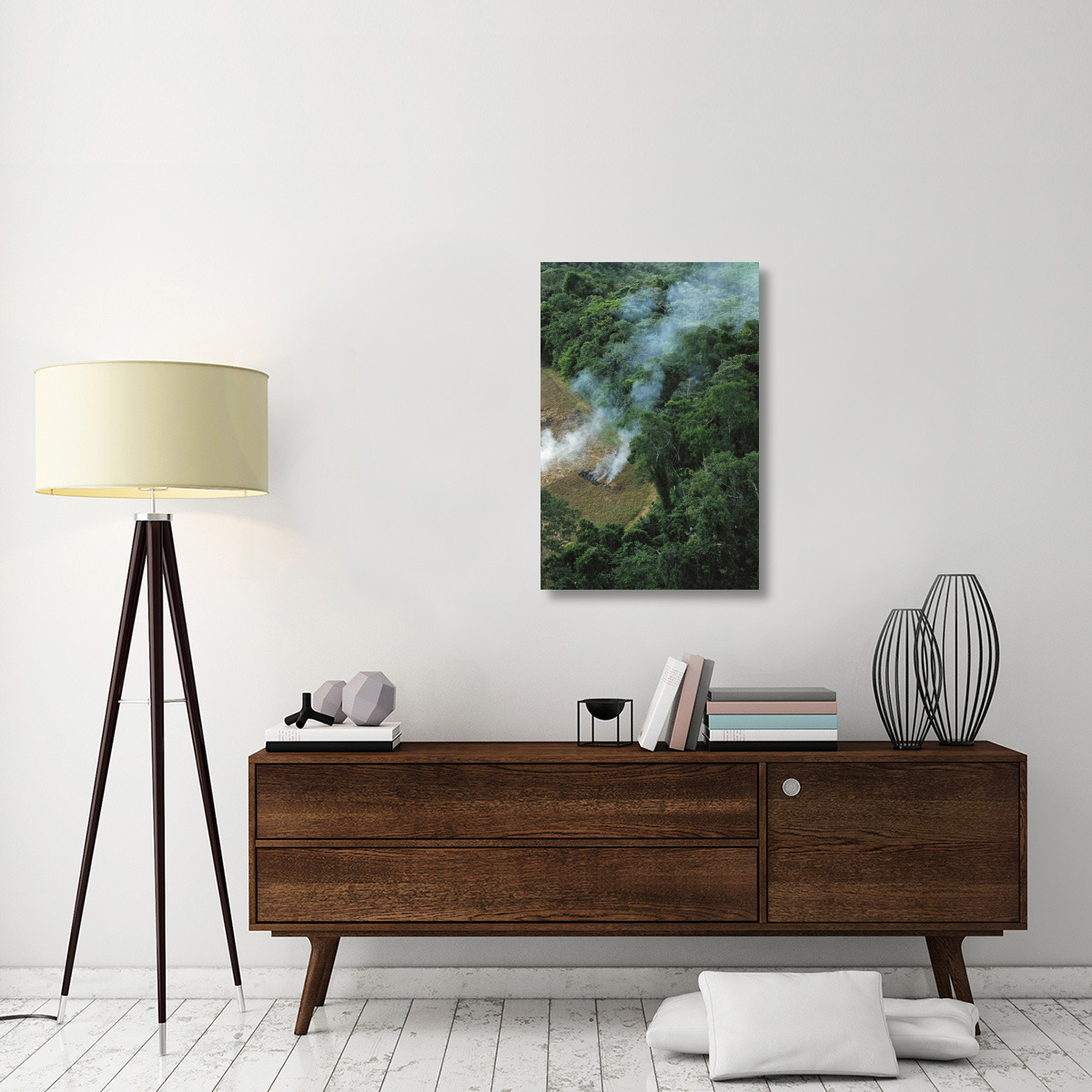 A farmer burns his agricultural field after harvesting the crop in a clearcut area in the forest, Usina Serra Grande, Atlantic Forest, Brazil-Canvas Art-24&quotx36"